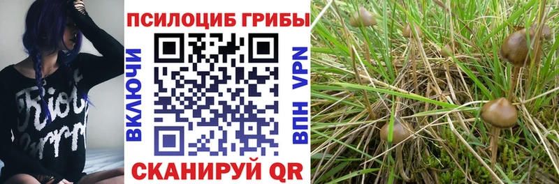 Псилоцибиновые грибы Magic Shrooms Купить Исилькуль